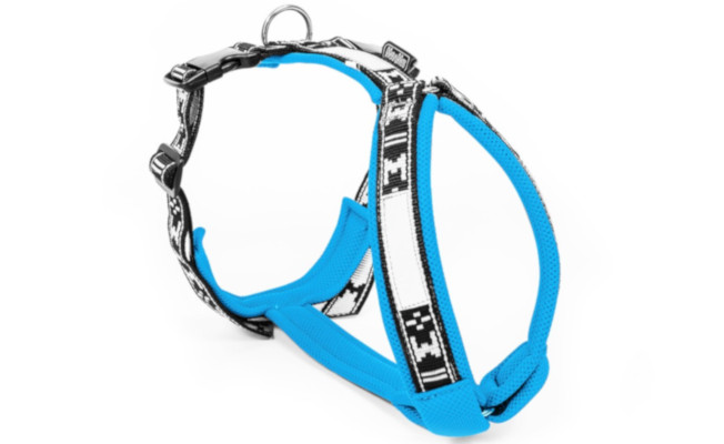 dog sports dog harness smart alpine blue